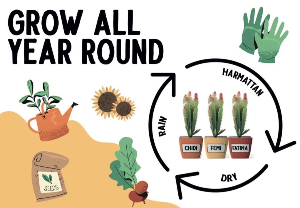 Kids Plant Grow Kit