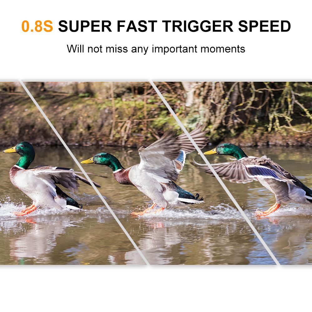 5MP 480P Trail And Game Camera With 16GB/32GB TF Card Motion