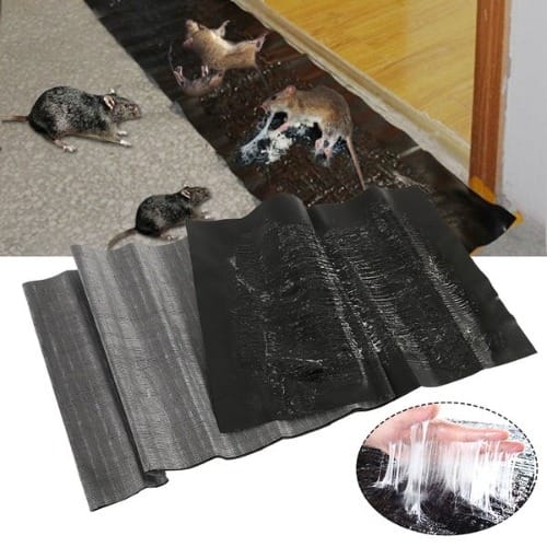 Mouse Glue Trap Sticky Board