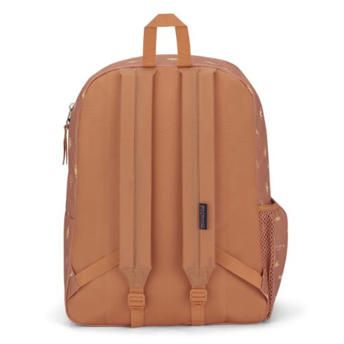 Cross Town Future Vision Sego Canyon backpack