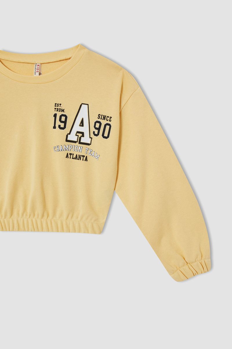 Girl Knitted Regular Fit Crew Neck Sweat Shirt - Beige