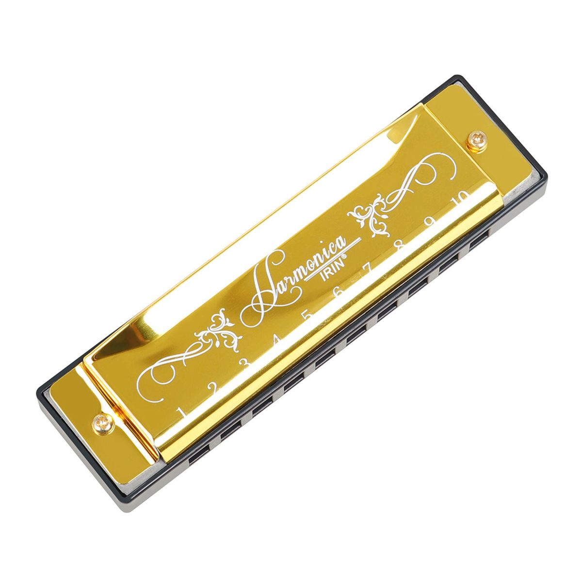 IRIN 10-Hole Harmonica Key of C 20-Tone Musical Gift with Storage Case for Beginner Student