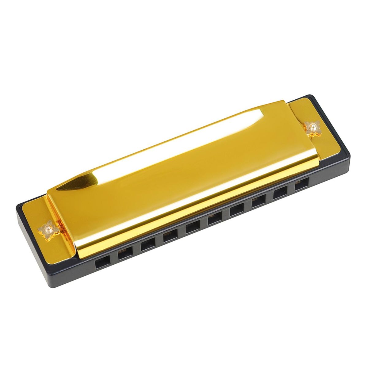 IRIN 10-Hole Harmonica Key of C 20-Tone Musical Gift with Storage Case for Beginner Student