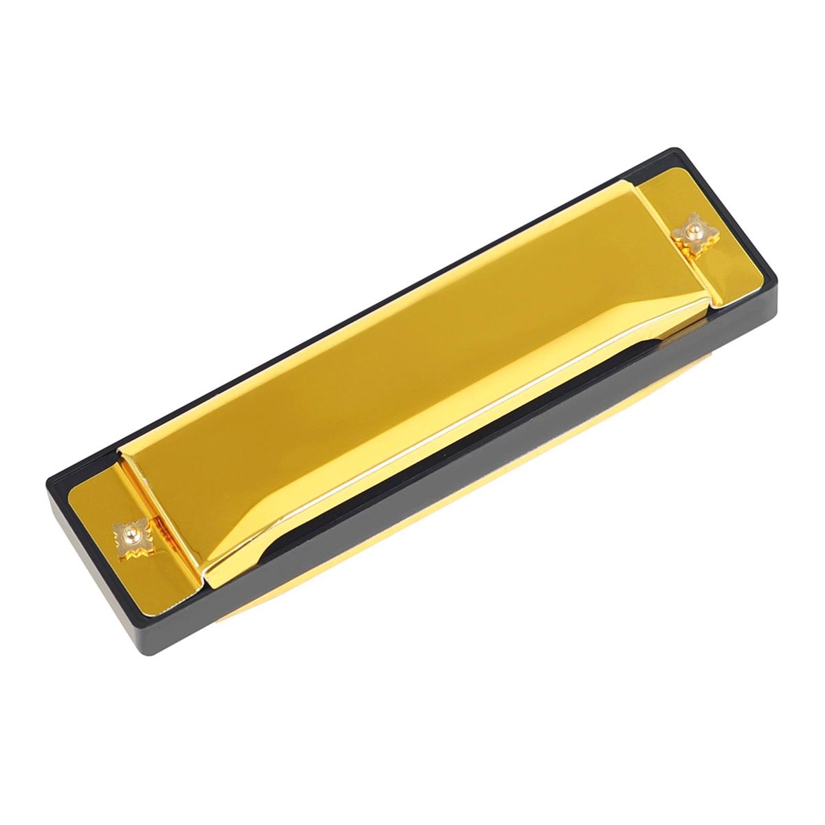 IRIN 10-Hole Harmonica Key of C 20-Tone Musical Gift with Storage Case for Beginner Student