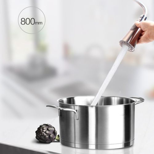 304 Stainless Steel Brushed Pull Out Mixer