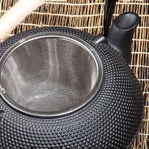 Cast Iron Tea Pot Set Japanese TeaPot Tetsubin Kettle With Metal Net Filter 600ml Peony Kung Fu Tea Infusers