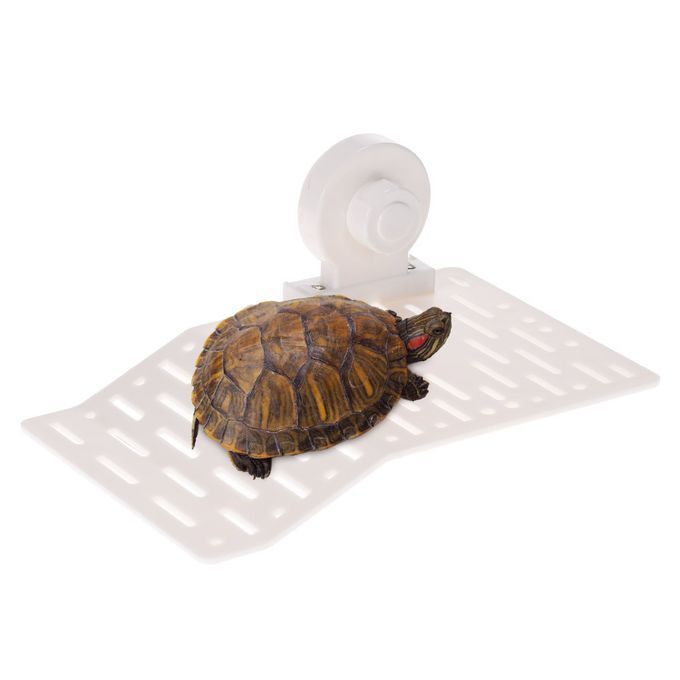 Aquarium Tank Turtle Basking Platform Dock Floating-L Size