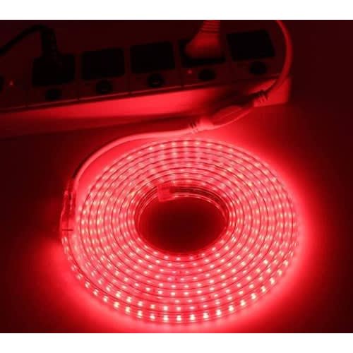 LED Rope Lights - Red -1Meter