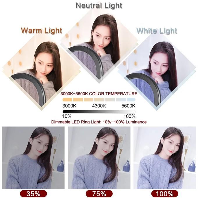 FH-019 Ring light with bracket 10-inch mobile phone video recording fill light two-color round desktop video live broadcast light for video conference lighting