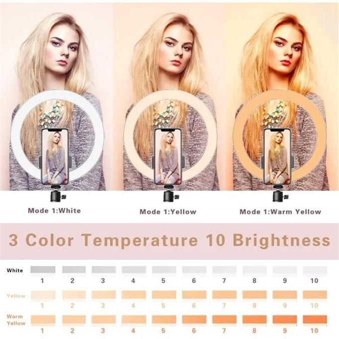 FH-019 Ring light with bracket 10-inch mobile phone video recording fill light two-color round desktop video live broadcast light for video conference lighting