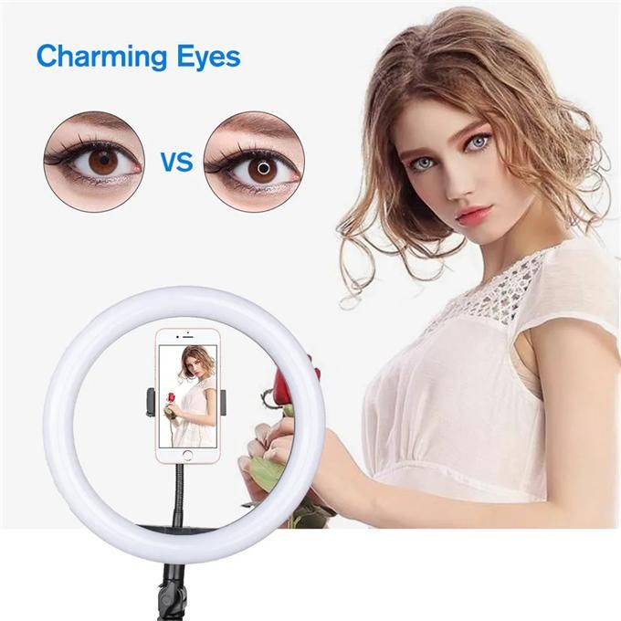 10 Inch LED Ring Selfie Light Dimmable Photography Lighting Kit USB Rechargeable Light with Tripod for Live Video