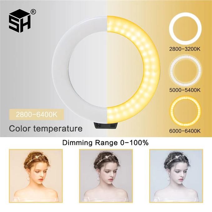 10 Inch LED Ring Selfie Light Dimmable Photography Lighting Kit USB Rechargeable Light with Tripod for Live Video
