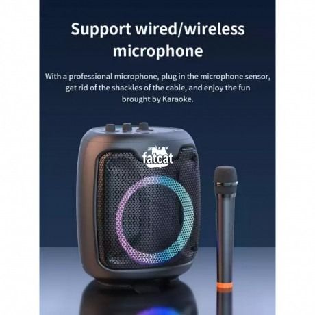 New Zealot P8 Outdoor Speaker +Wireless  Karaoke Microphone