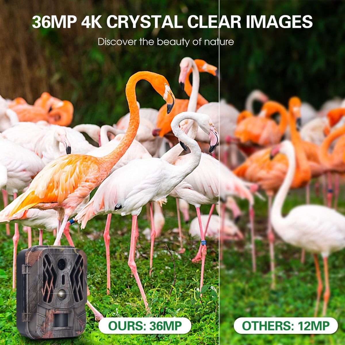 Dual Lens Trail Camera 36MP 4K Motion Activated Wildlife Hunting Camera No Glow Night Vision Wildlife Scouting Camera Farm Security Camera