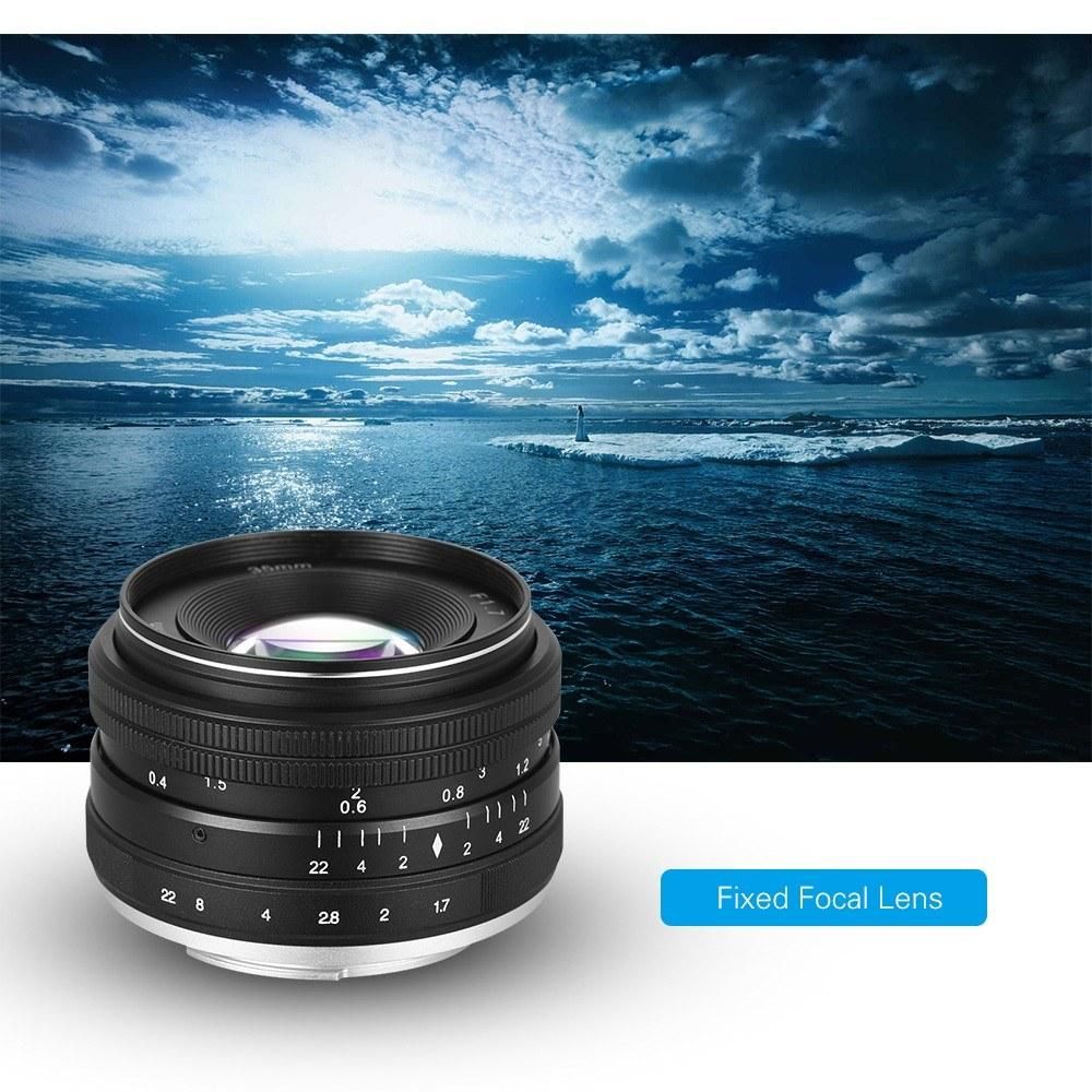 35mm F1.7 Large Aperture Manual Prime Fixed Lens for Sony E-Mount Digital Mirrorless Cameras NEX 3 NEX 3N NEX 5 NEX 5T NEX 5R NEX 6 7 A5000 A5100 A6000 A6100 A6300 A6500
