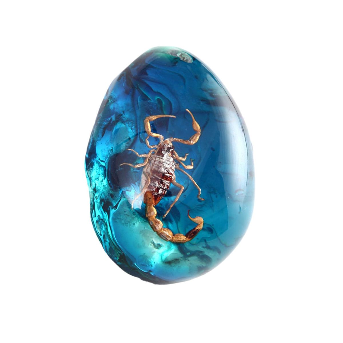Amber Toys Vibrant Amber Collection Scorpion Butterfly Crab for Ages Blue