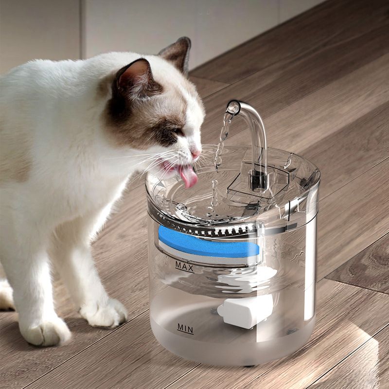 Pet Water Dispenser Automatic Cycle Intelligent Constant