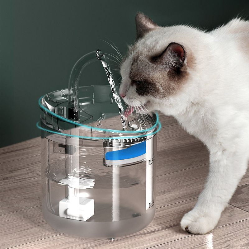 Pet Water Dispenser Automatic Cycle Intelligent Constant
