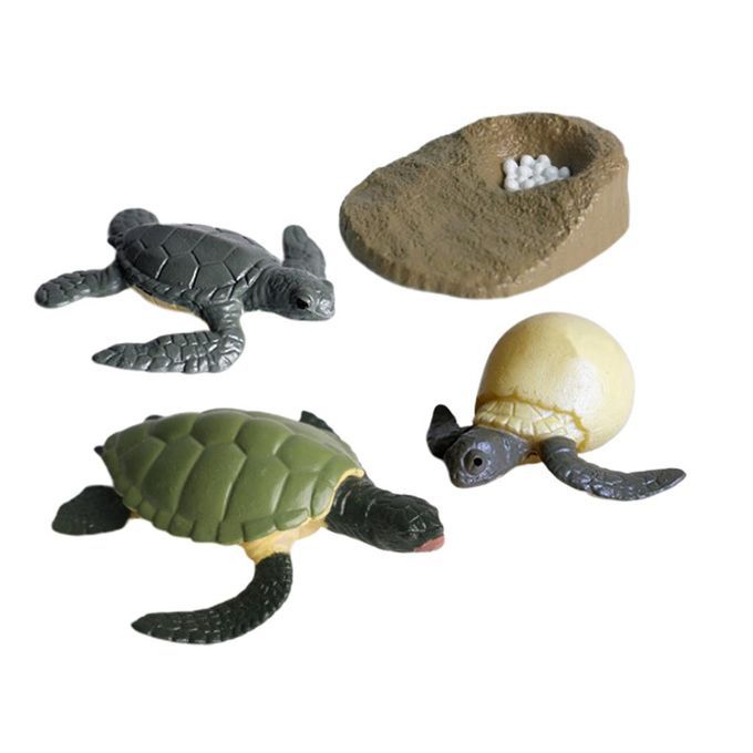 4Pcs Solid Hard Plastic Animal Growth Cycle Sea Turtle Figures Model