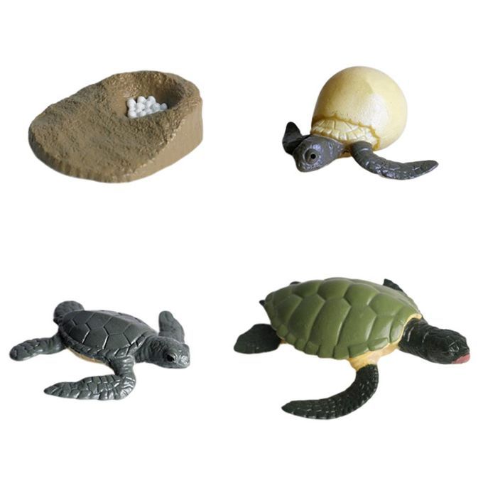 4Pcs Solid Hard Plastic Animal Growth Cycle Sea Turtle Figures Model