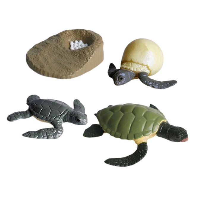 4Pcs Solid Hard Plastic Animal Growth Cycle Sea Turtle Figures Model