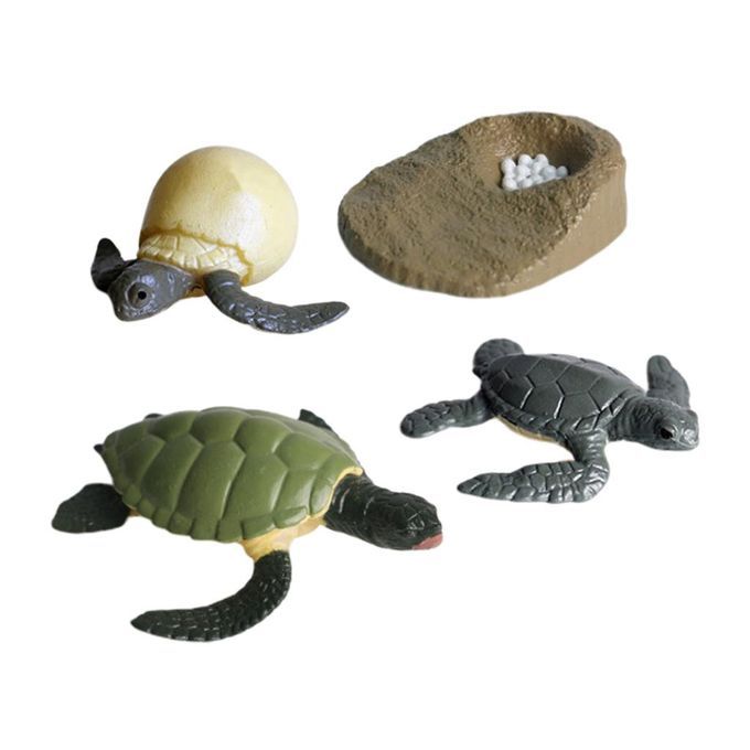 4Pcs Solid Hard Plastic Animal Growth Cycle Sea Turtle Figures Model