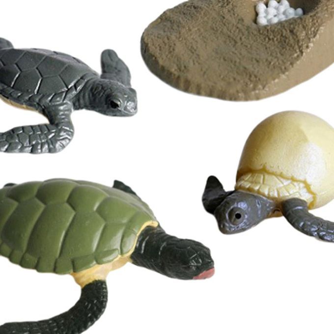 4Pcs Solid Hard Plastic Animal Growth Cycle Sea Turtle Figures Model