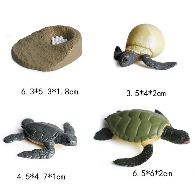 4Pcs Solid Hard Plastic Animal Growth Cycle Sea Turtle Figures Model