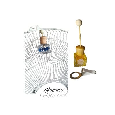 Fan & Ac Vent Clip Air Freshener 2pcs