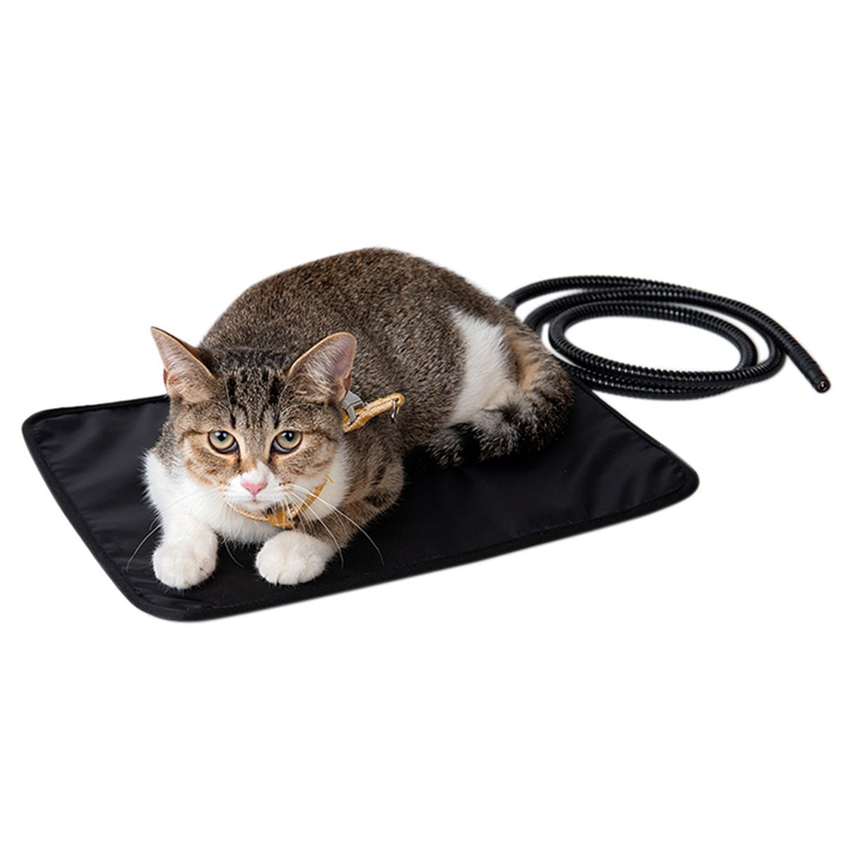 A C 100-240 V Pet Heating Mat Electric Heating Pad Warming