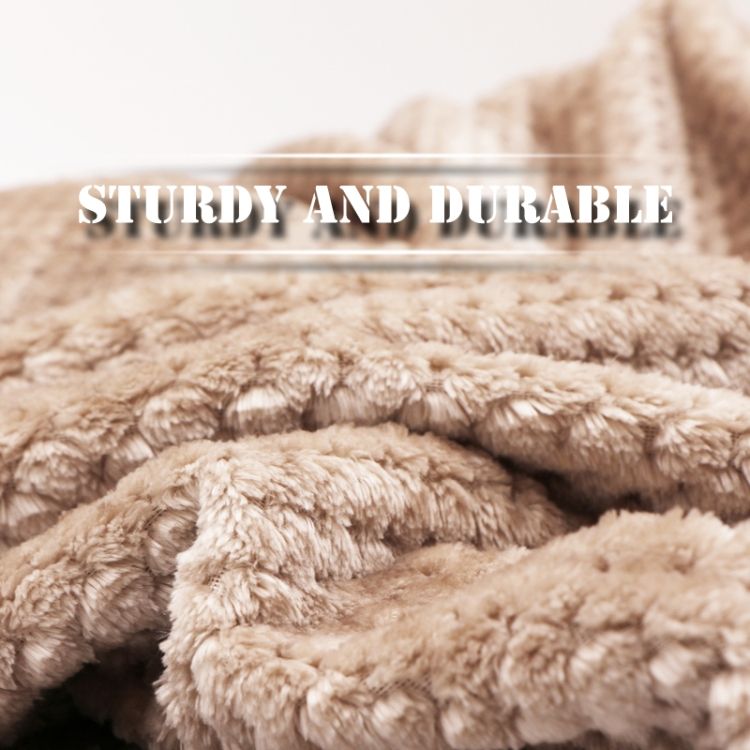 Thicken Solid Color Mesh Pineapple Flannel Blanket