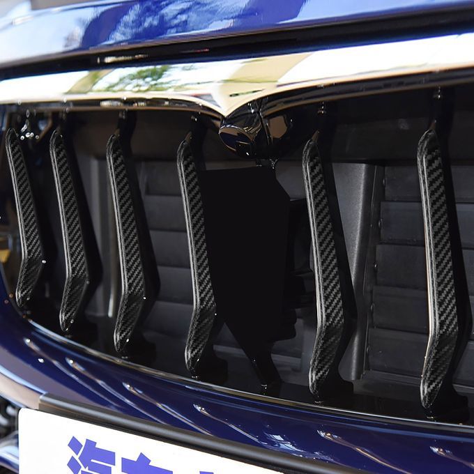 8Pcs Front Grille Cover Rainproof Anti-scratch Carbon-Black