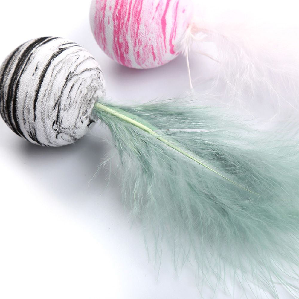 Cat Ball Toy With Feather Interactive Cat Toys Throwing