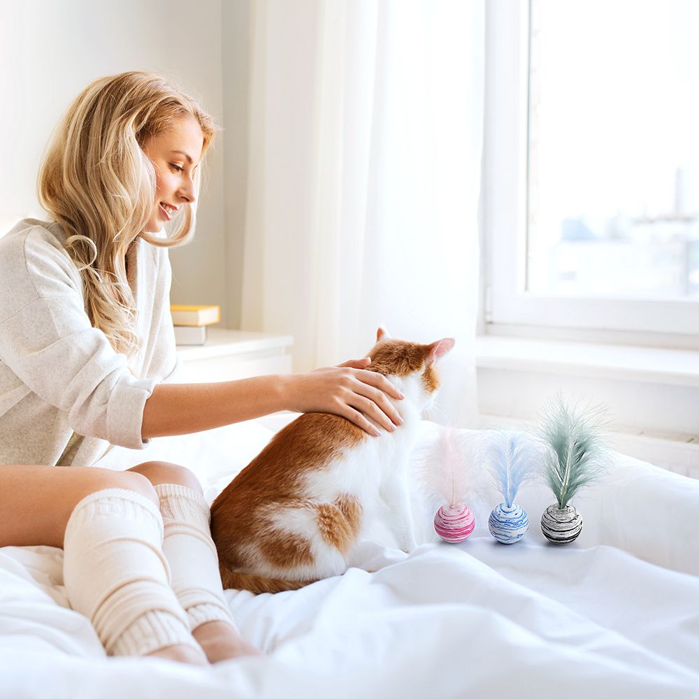 Cat Ball Toy With Feather Interactive Cat Toys Throwing