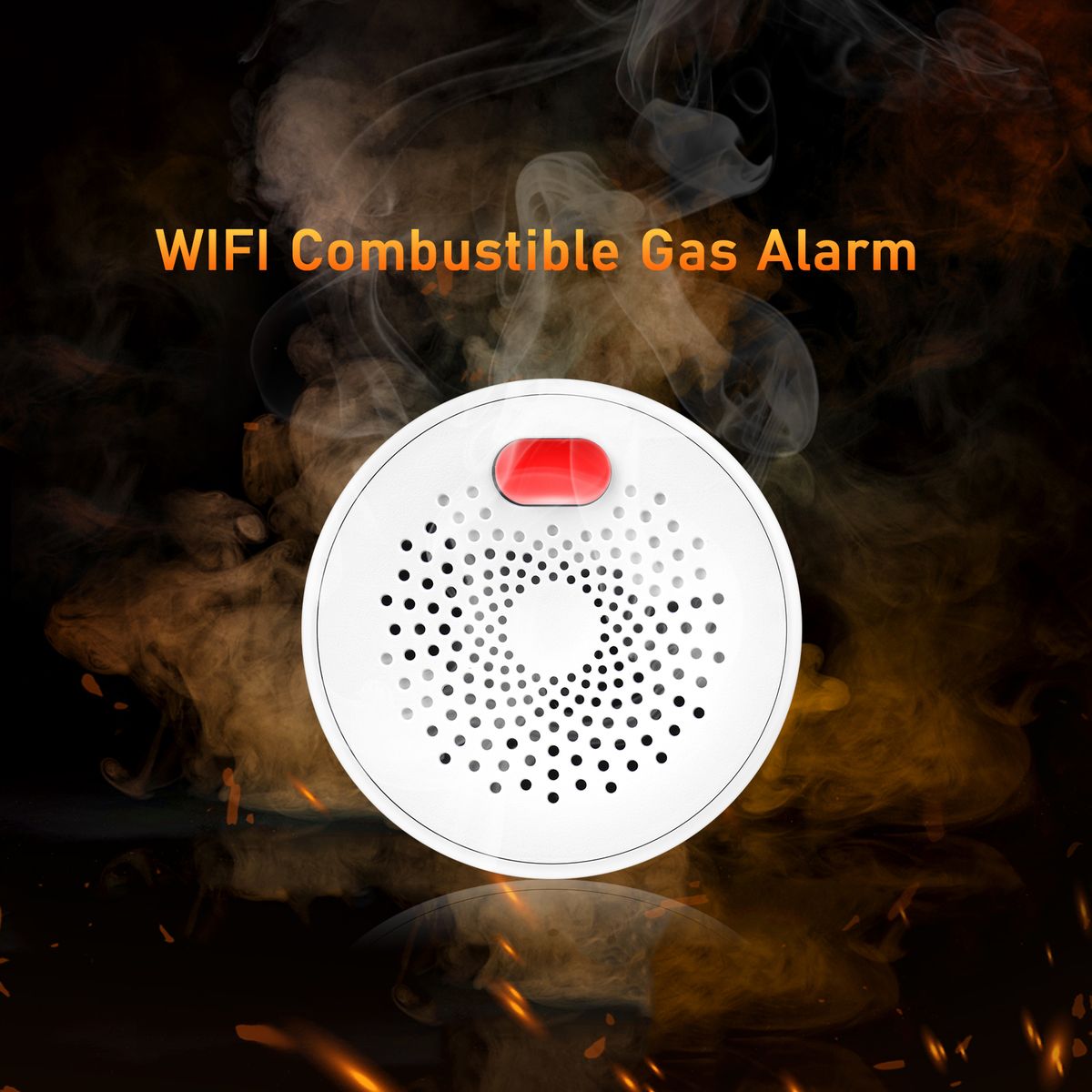 WIFI Combustible Gas Alarm Smart Combustible Gas Detector