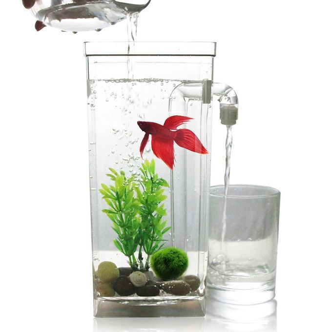 Desktop Aquarium LED Light Desk Fish Tank Decor Transparent Cuboid