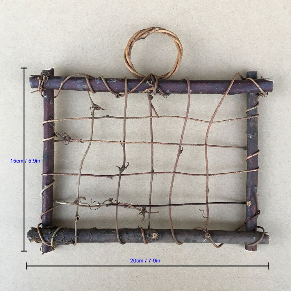 Air Plants Hanging Wooden Rattan Frame Tillandsia Wall