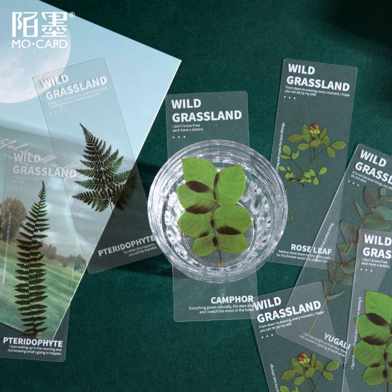 5pcs For People Who Like Reading Dried Flowers Bookmark Pet