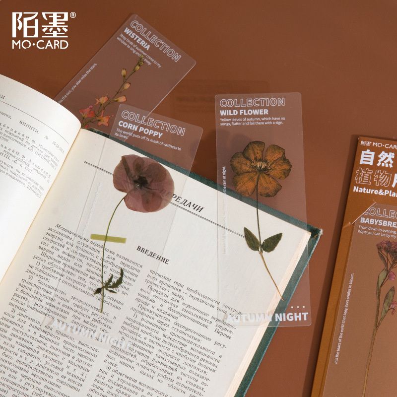 5pcs For People Who Like Reading Dried Flowers Bookmark Pet