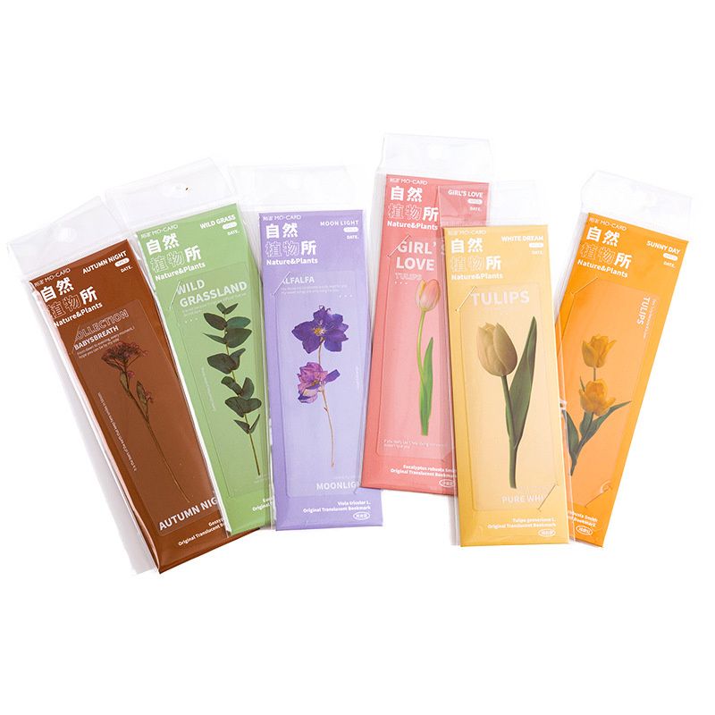 5pcs For People Who Like Reading Dried Flowers Bookmark Pet