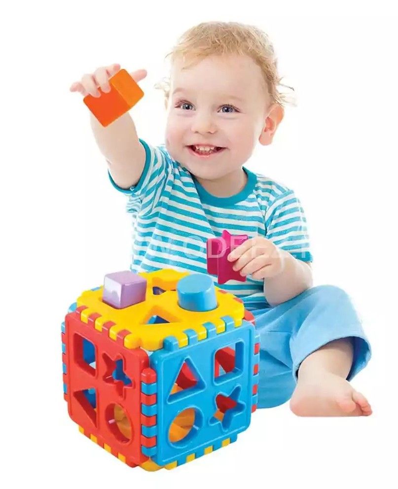 Montessori Intelligence Shape Sorters Cube