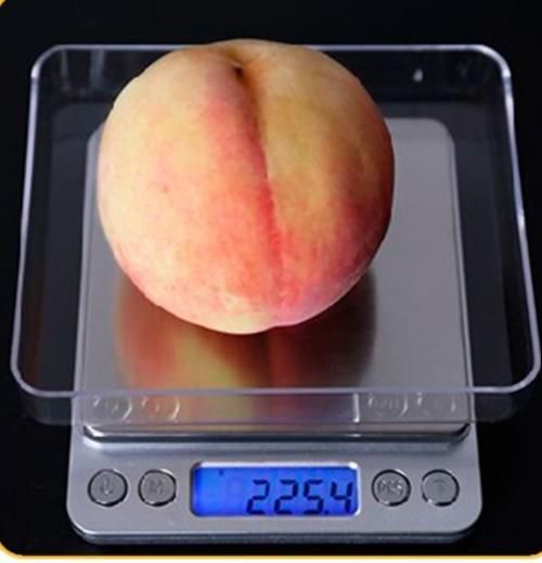 Portable Kitchen Scales Electronic Digital Scale Mini Pocket Case Postal Jewelry Weight Gram Balanca
