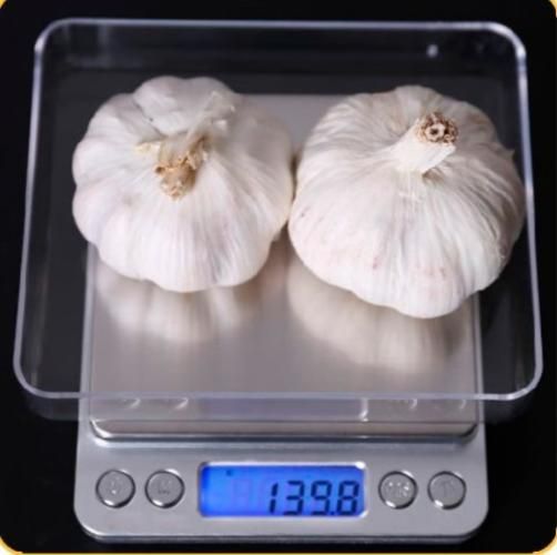 Portable Kitchen Scales Electronic Digital Scale Mini Pocket Case Postal Jewelry Weight Gram Balanca