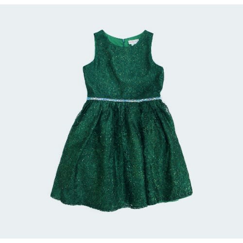 Lace Glitter Green Gown With Jacket