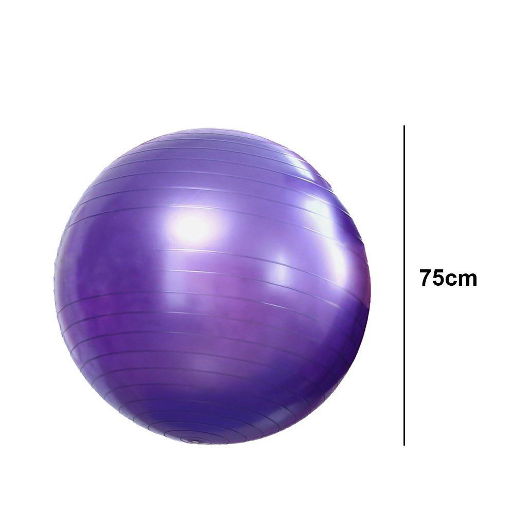 75CM Big Size Premium Exercise GYM Yoga Ball Fitness Pregnancy Birthing + Free Pump