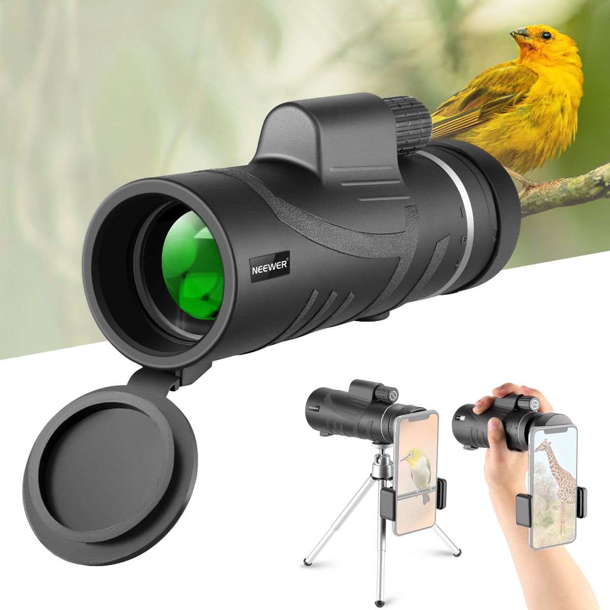 Telescope, 12X50 HD With Smartphone Holder And Tripod