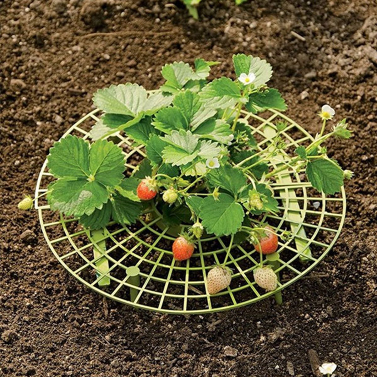 10PCS Strawberry Stand Frame Holder Balcony Planting Rack
