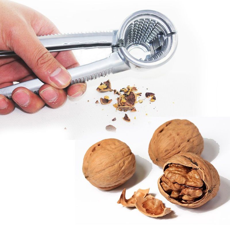 Crack Almond Walnut Pecan Hazelnut Hazel Filbert Nut