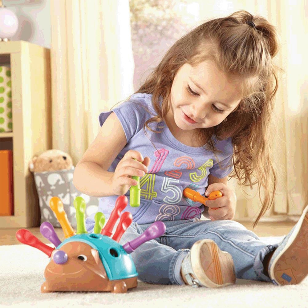 Insert Hedgehog Plaything Early Education Montessori