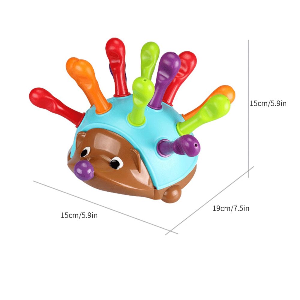 Insert Hedgehog Plaything Early Education Montessori